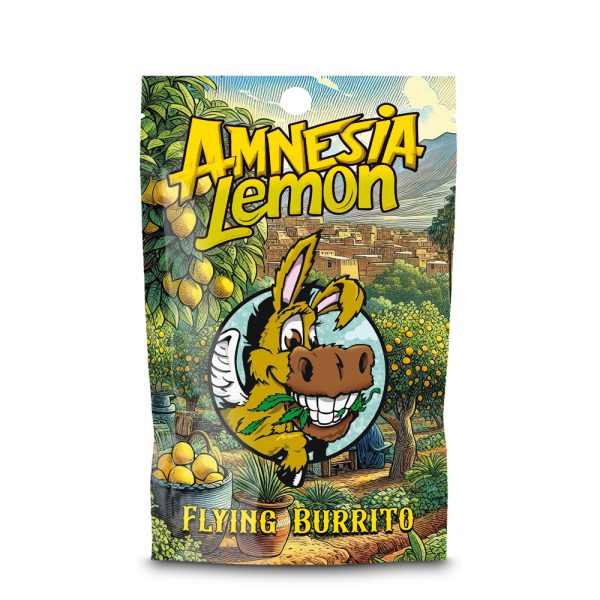 CBD Hash Flying Burrito Amnesia Lemon 5 gr.